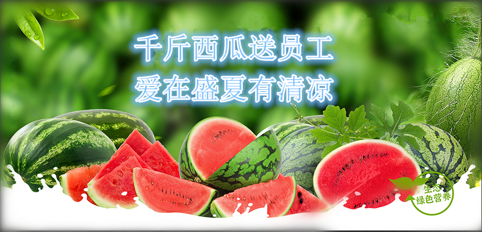 通達軟件公司： 千斤西瓜送員工，愛在盛夏有清涼